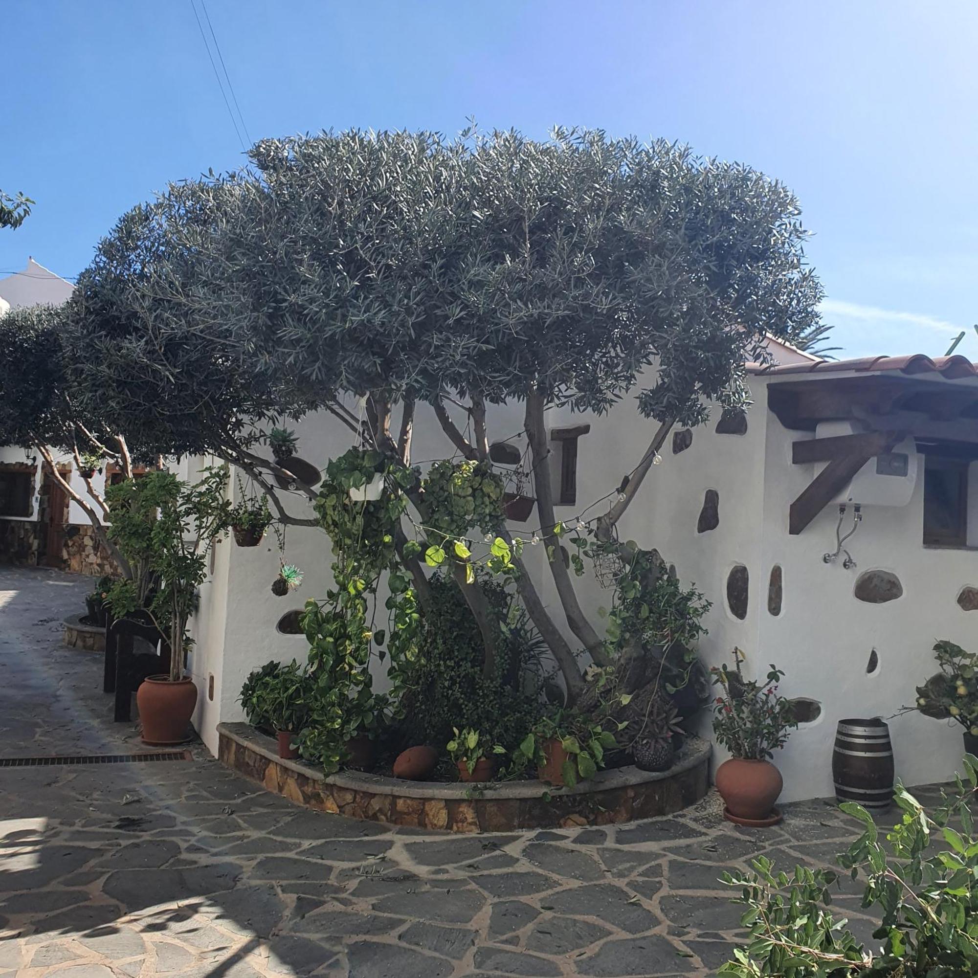 La Gallania De Papa Pepe Santa Lucia Exterior foto