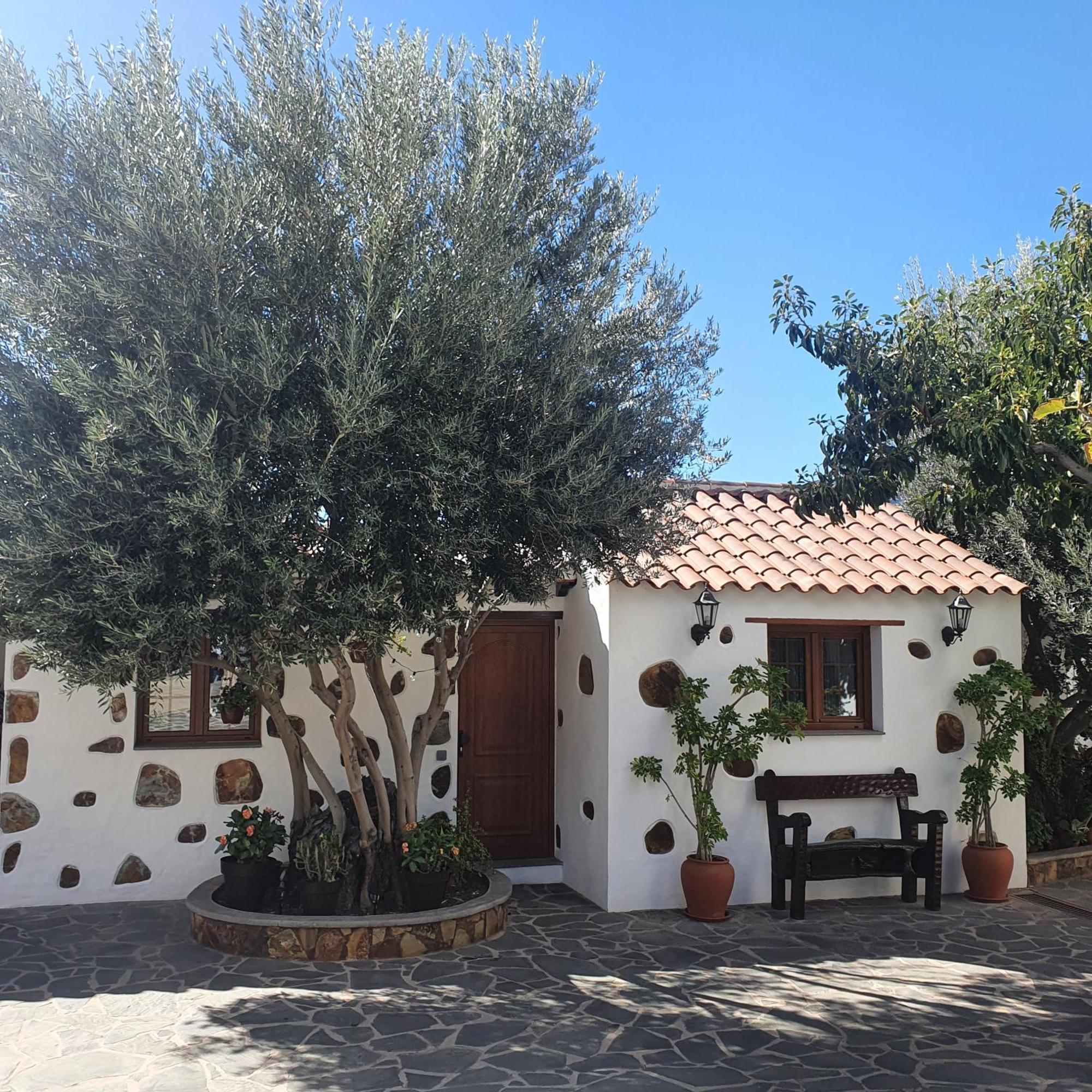 La Gallania De Papa Pepe Santa Lucia Exterior foto